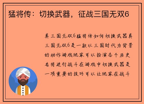 猛将传:切换武器,征战三国无双6